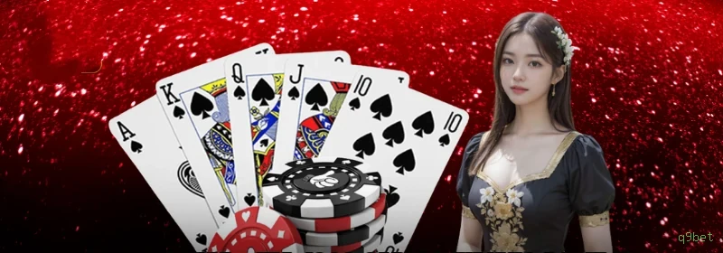 Bônus e prêmios q9bet